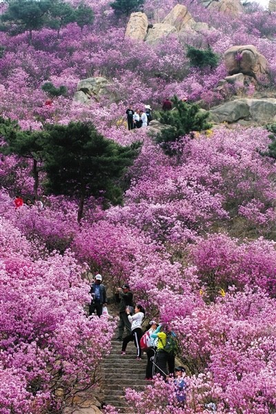 青岛黄岛最清澈最好玩的海边,青岛和黄岛哪个更适合旅游