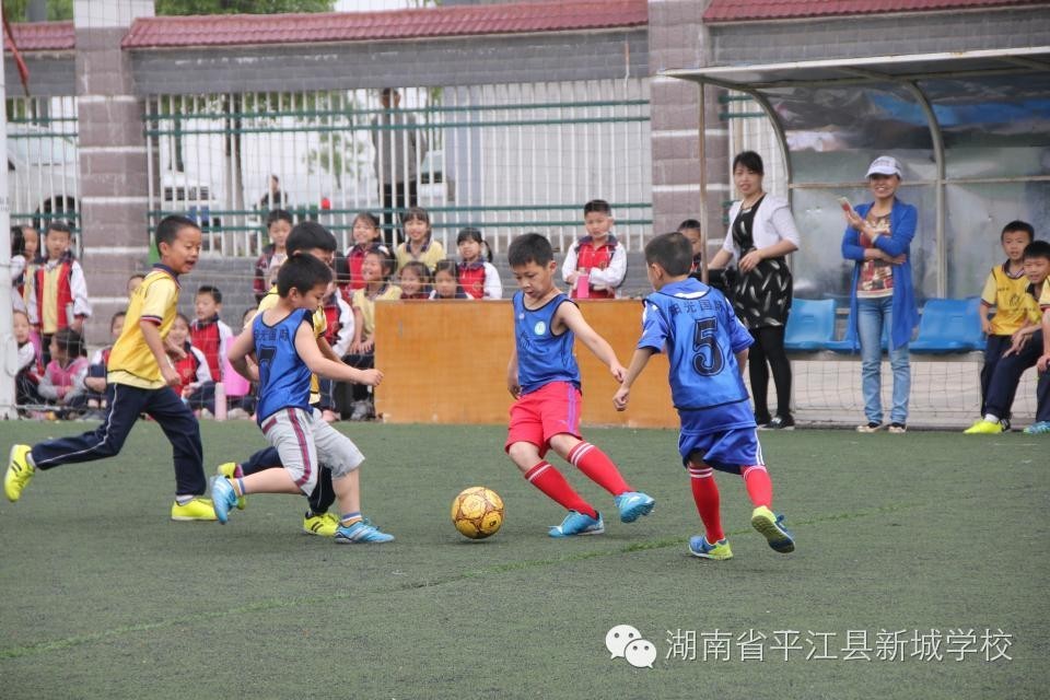 孩子在学校很好学习,孩子在新学校读书