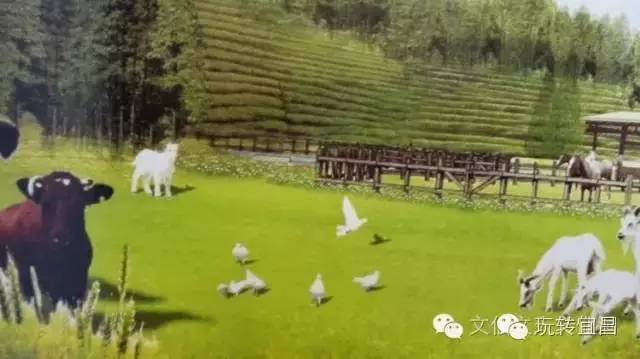 三峡小镇全景图,三峡童年小镇