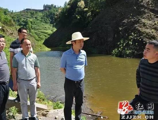 桑植县刘卫兵,桑植县县长刘卫兵