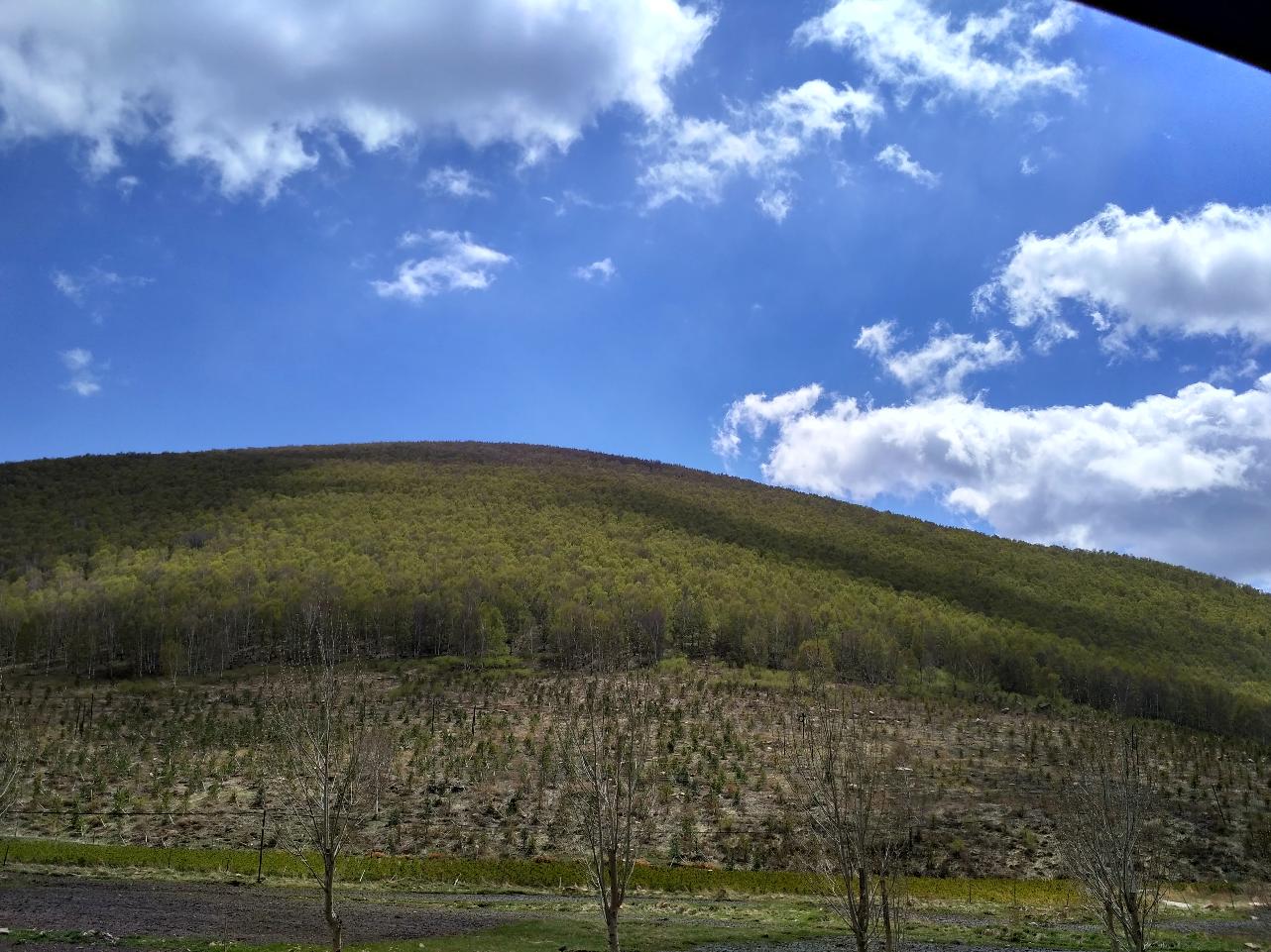 5日训练日程,5月训练营