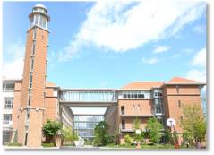 国医大师从医六十年分享全视频,国医大师谈中医如何走向世界