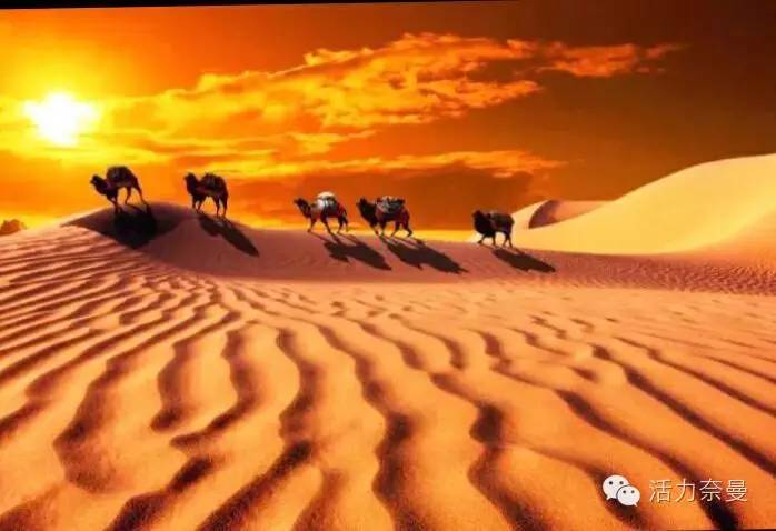 通辽奈曼宝古图沙漠,奈曼旗宝古图沙漠旅游视频