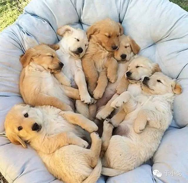 轻易离开你的朋友不值得深交,别怕一定会有不舍得丢下你的人