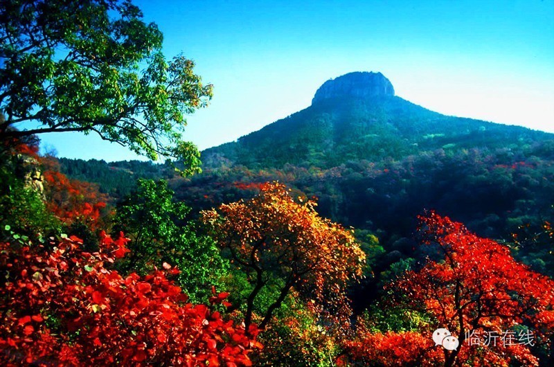 请不要听说临沂，请听临沂说......