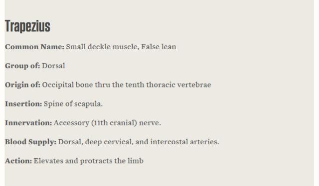 强烈安利视频大全,墙裂安利种草系列