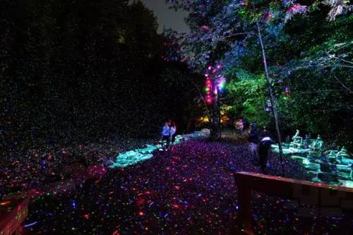 加拿大奇幻森林,加拿大魔法森林风景