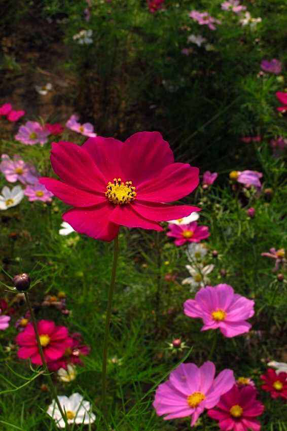 经量少多怎么办,经量太少该吃什么调理