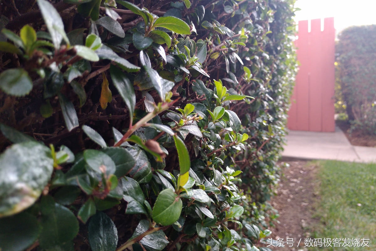 黑莓motion曝光,黑莓motion8.0系统