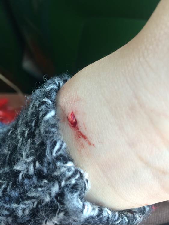 家里有个魔王,家里有只小魔王