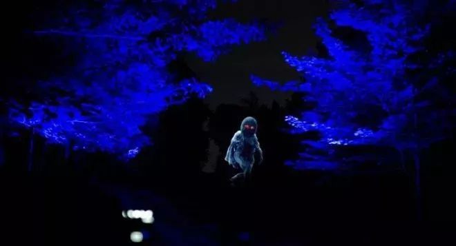 加拿大奇幻森林,加拿大魔法森林风景