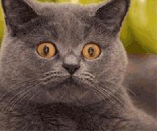 好瘆人磨滩三区一男子深夜在窗下发现无名骨灰坛，打开后竟...