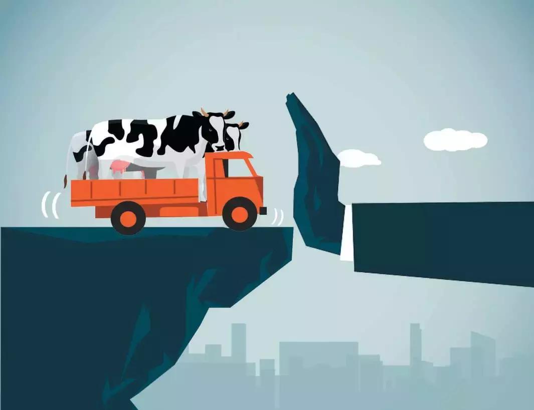 中鼎牧业大庆牧场,中鼎牧业股权投资