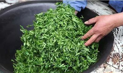 绿茶炒青和烘青工艺,炒青绿茶与烘青绿茶有什么不一样