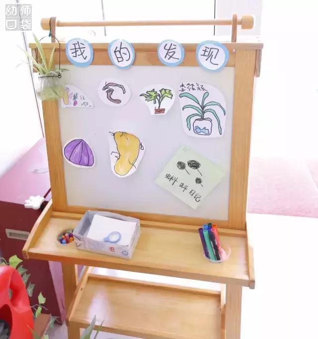 幼儿园春天植物角摆台,幼儿园植物角创意布置图片大全集