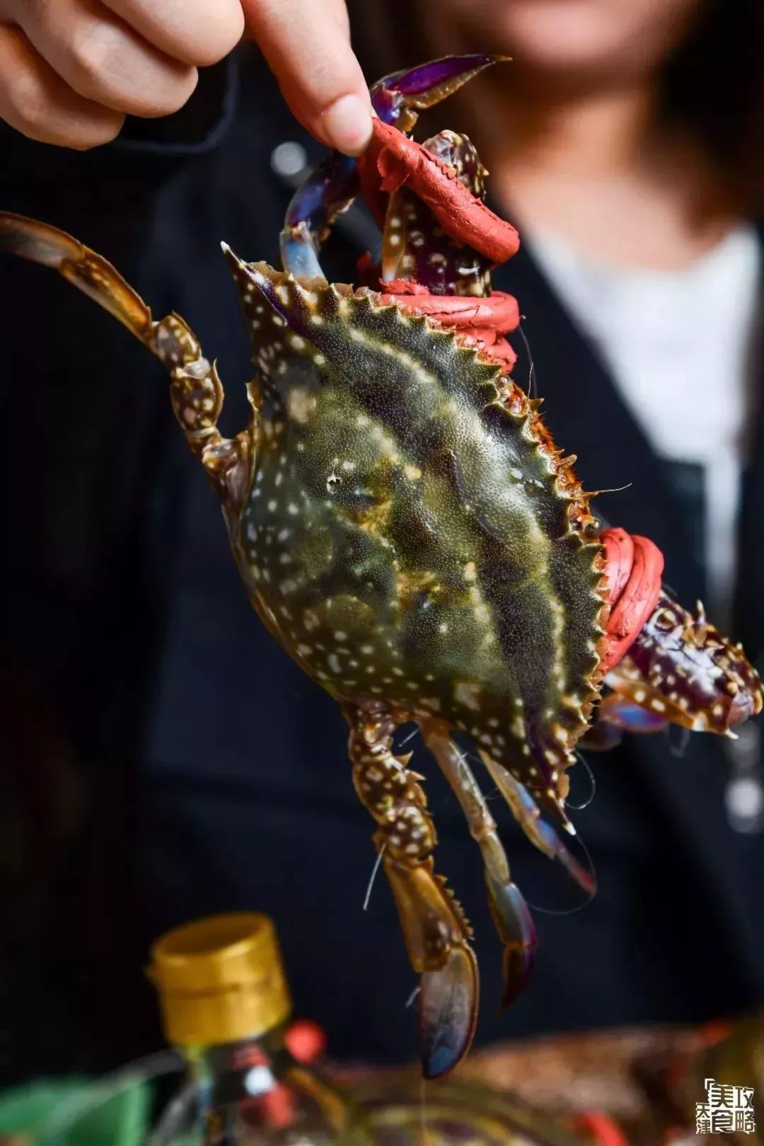 天津高档海鲜自助波龙帝王蟹,海鲜自助天津帝王蟹