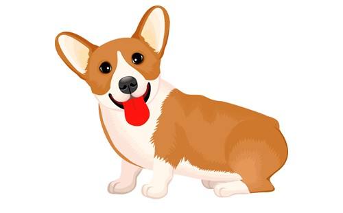 属狗的本命年运气不好怎么破,2018狗本命年注意什么