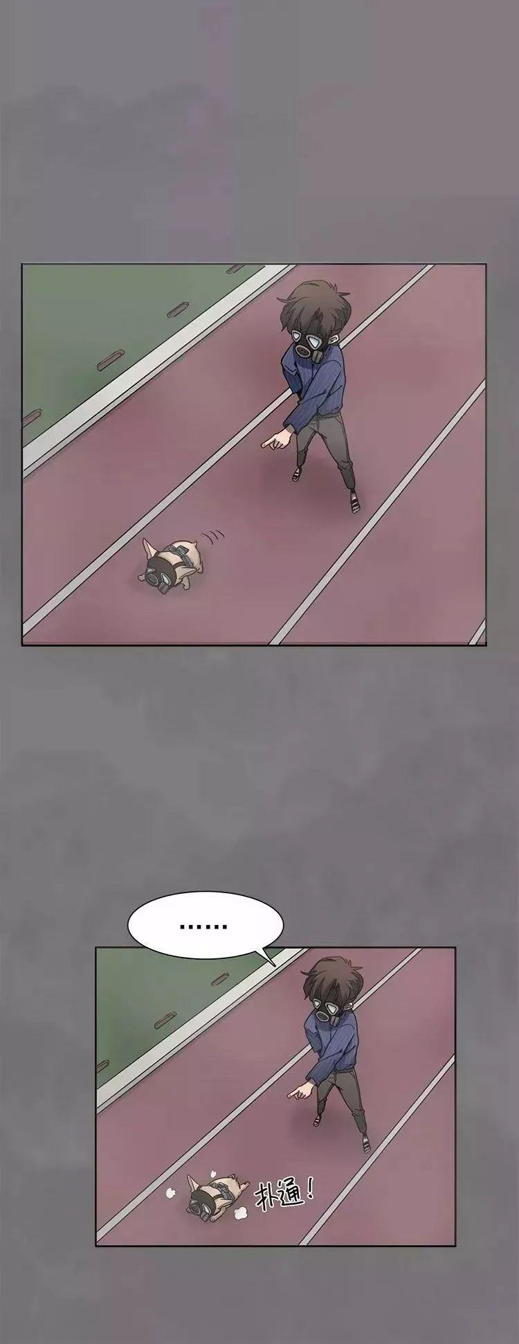 猫和铲屎官的日常生活漫画,铲屎官的搞笑漫画