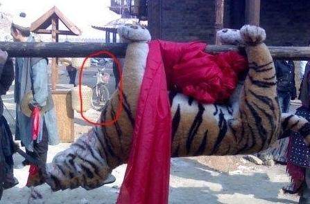 老水浒传武松打虎后续,新旧水浒传对比武松打虎