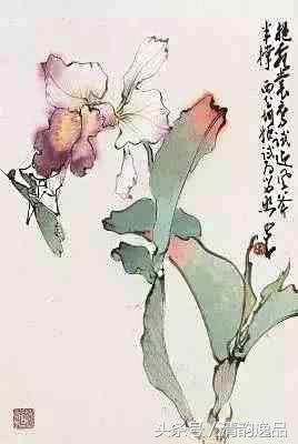 赵少昂岭南画派国画花鸟,岭南画派十大名家名单赵少昂