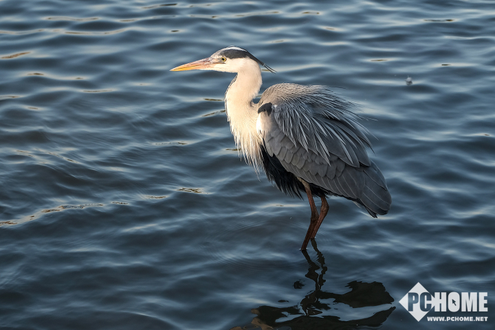 xh1富士拍夜景,x-h1富士