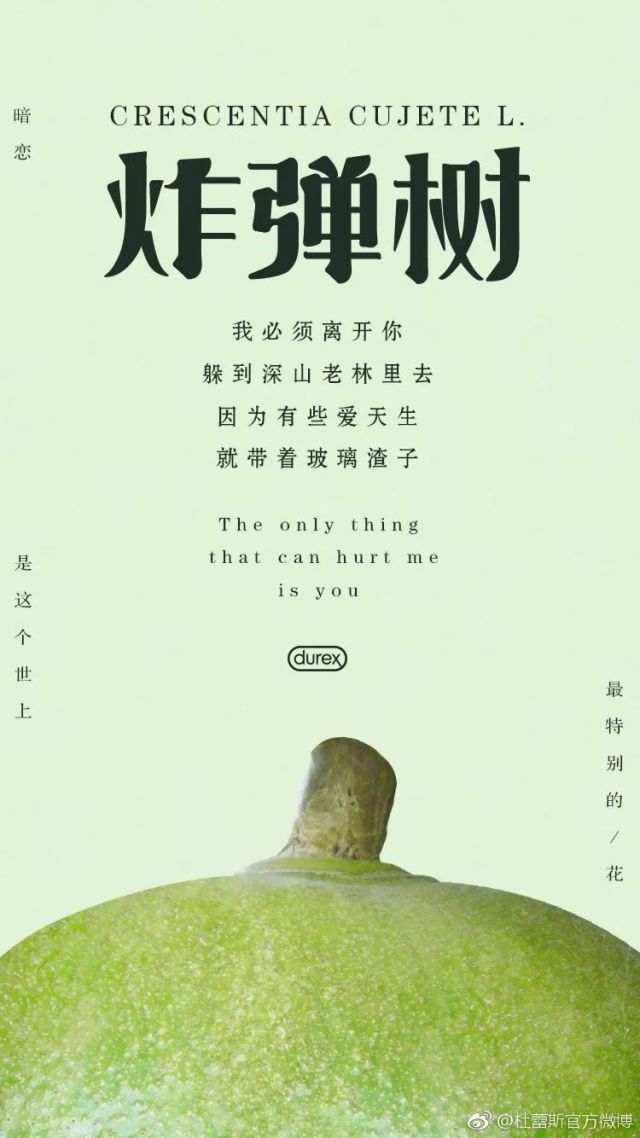 鏉滆暰鏂コ绁炶妭瑙嗛,涓冨鎯呬汉鑺傛潨钑炬柉