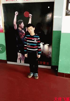 乒乓球系统训练计划明细表,乒乓球基础教练教学书籍