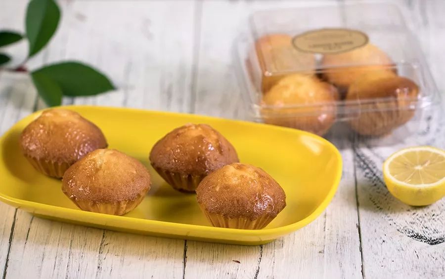 初代网红的圈粉之路,有谁还记得第一代的网红鼻祖