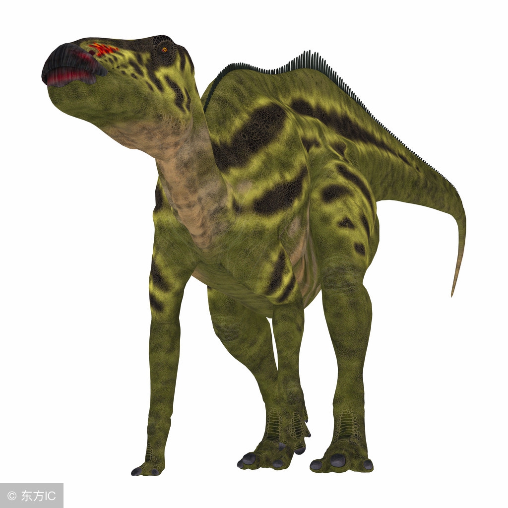 宝宝喜欢恐龙的原因 (3-6岁喜欢的恐龙)