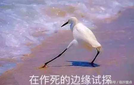 临沂丽人医院擅自使用景甜照片被起诉,败诉不执行被列入黑名单