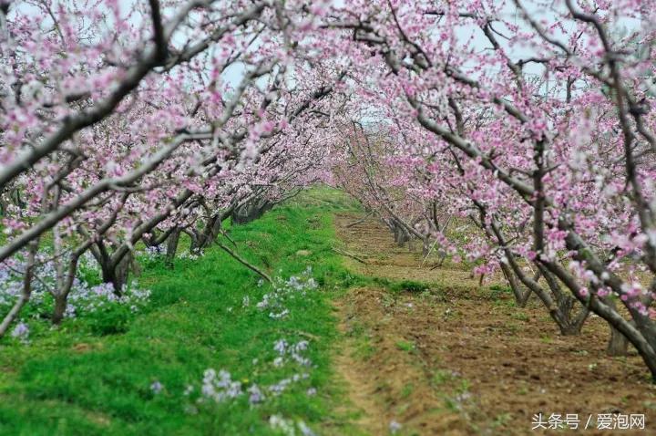 重庆到贵州2天高铁旅游攻略,高铁重庆到贵阳旅游2-3天推荐地方