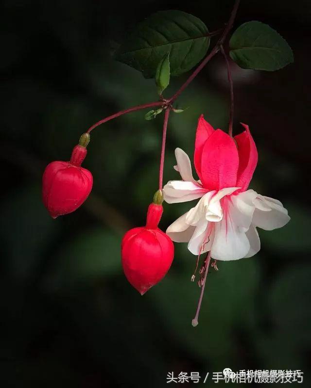 普通人如何拍出好看的照片,拍出风光好照片的30个基本功