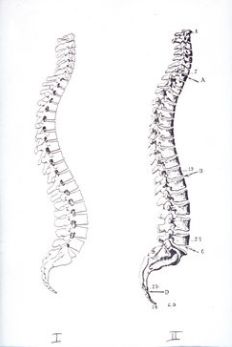 二年级如何用铅笔写好字,写好铅笔字一年级上册