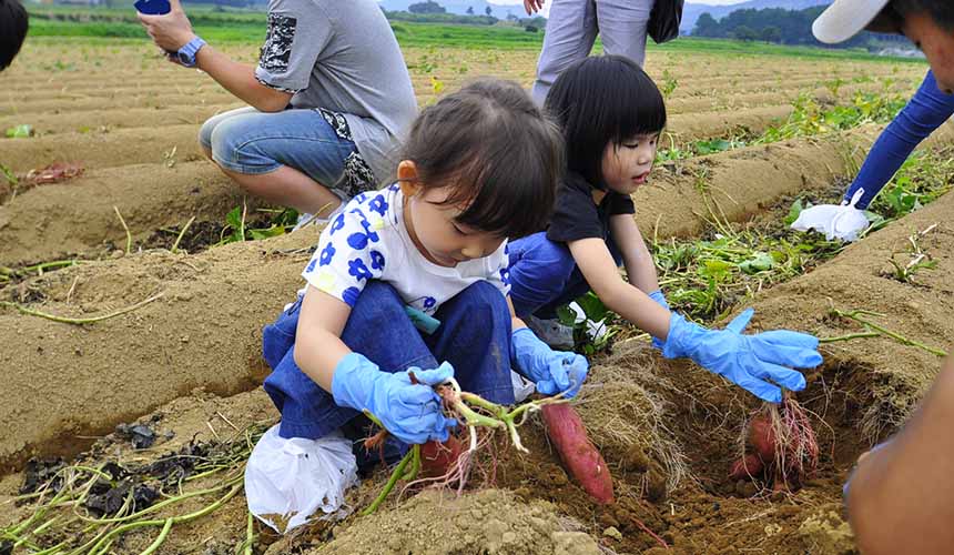 旅游熊本,熊本旅游攻略孩子
