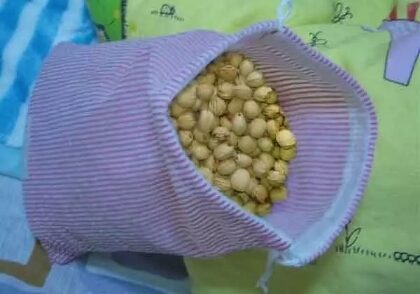 吃完樱桃剩下的籽能种吗怎么种,吃樱桃时不小心吃入樱桃核咋办