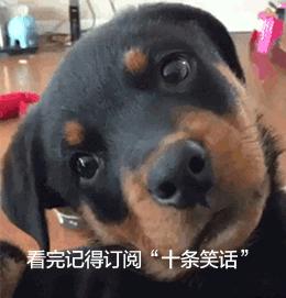 十条经典笑话不笑你打我,十条笑话完整版