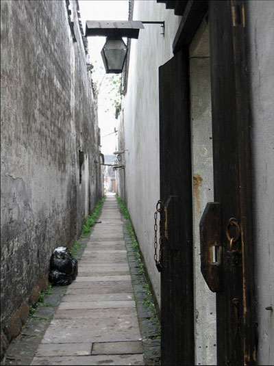 相机拍照紫边怎么去掉,相机拍照去除彩色纹