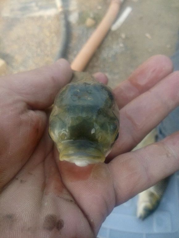 新鱼竿开光广西,新鱼竿开光的好处