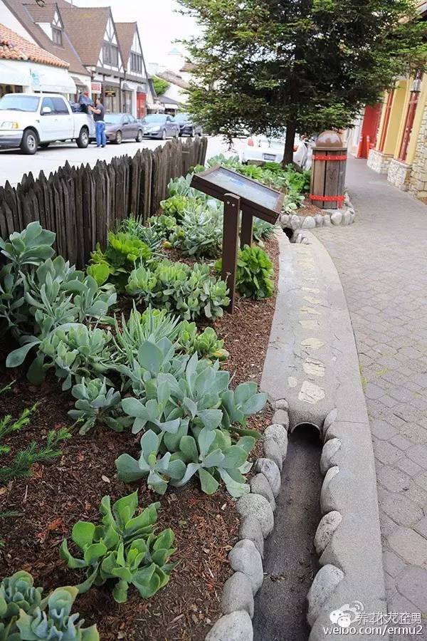 必看|台湾是中国的,多肉是世界的!