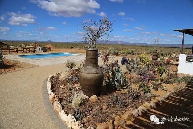 必看|台湾是中国的,多肉是世界的!