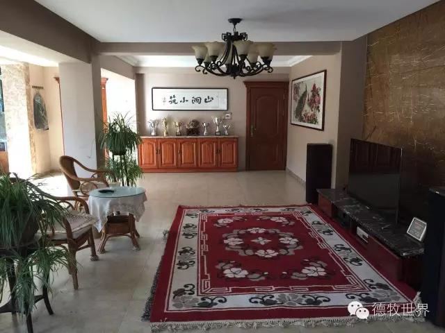 原创丽峰犬舍-VA11小杜的母亲在这里出生