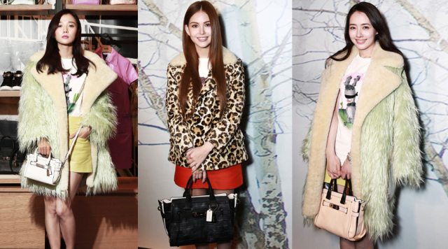 买包明星,明星喜欢的小众平价包