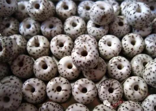 星月菩提干磨珠子的特点,星月菩提干磨技巧视频