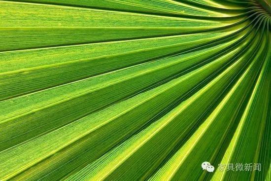 家具涂料种类大全,家具的秘密有哪些