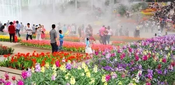 四川周末有啥玩的,四川周末好去处