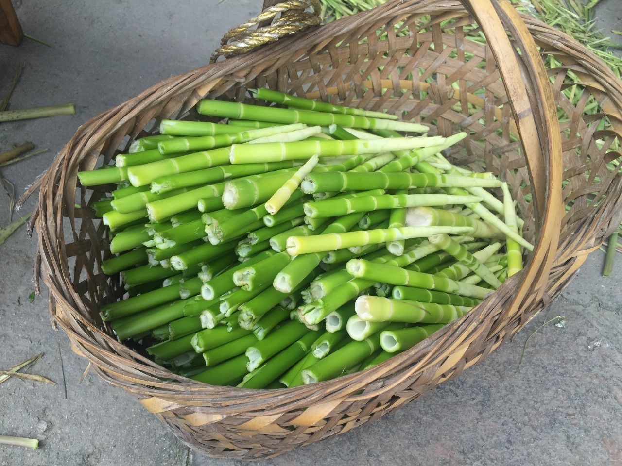 娌℃湁杩滄柟鍙湁褰撲笅鐢熸椿,鏉鹃槼鍘块檲瀹堕摵浜戝姘戝