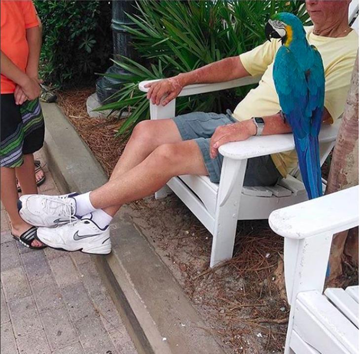 谁说老爸鞋不能有新花样？艺术家kelshmeamy绘制多种全新样貌