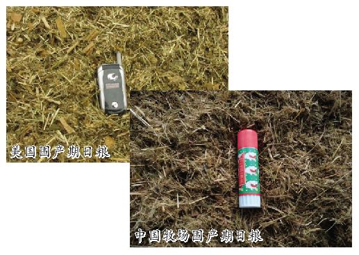 王艳明牛奶,王艳明