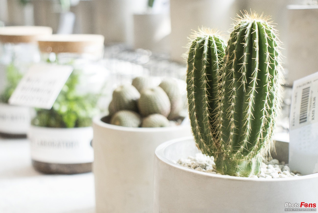 带EOS800D逛书店这个周末的打开方式我给100分