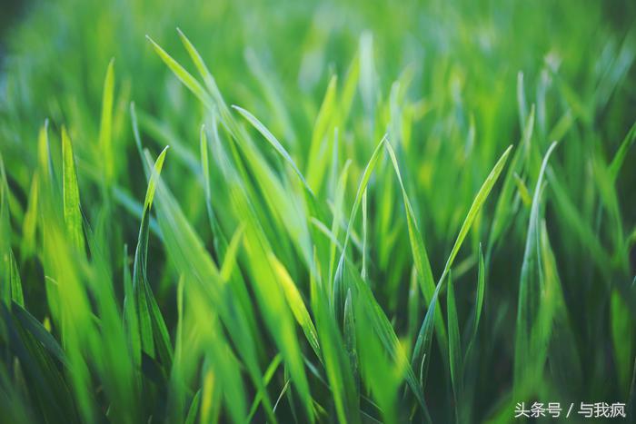 photoshop教程带资源,photoshop调用图层